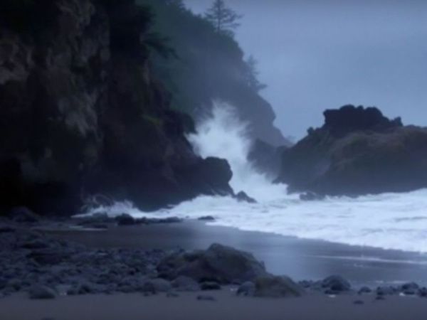 Mysterious Beast Spotted on Oregon Coast: Locals Left in Awe